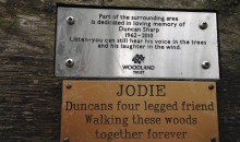 The Journey of a Memorial Bench, from Woodland Walk to Basement Techno