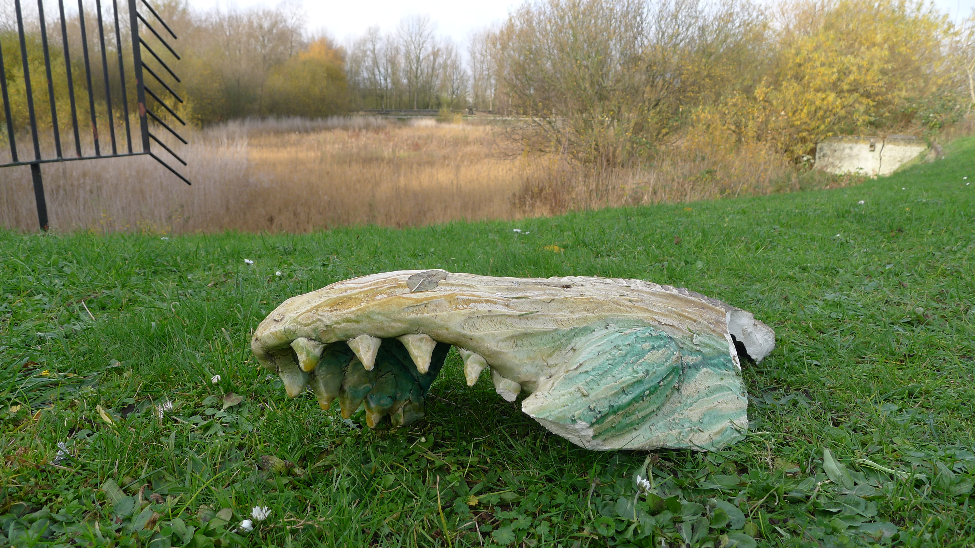 The Death of a Fish in Hackney’s Abandoned Filter Beds