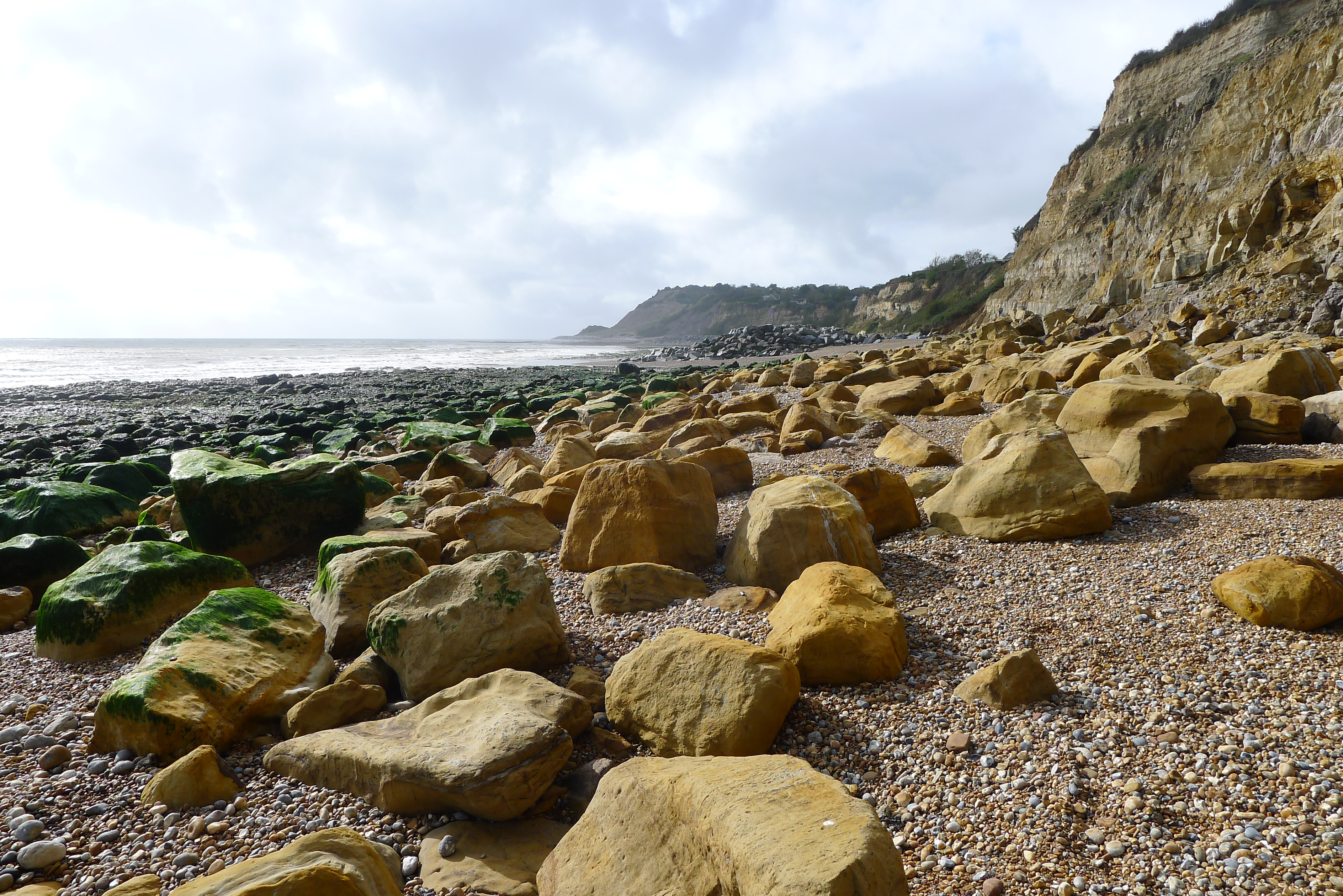 Fairlight Cove and the Epiphany of Teilhard de Chardin