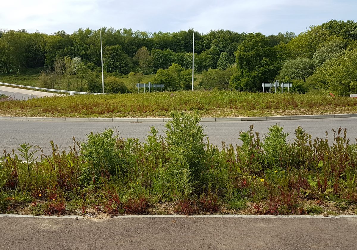 The Eerie Tale of the Zombie Junction Behind Sainsbury’s Car Park